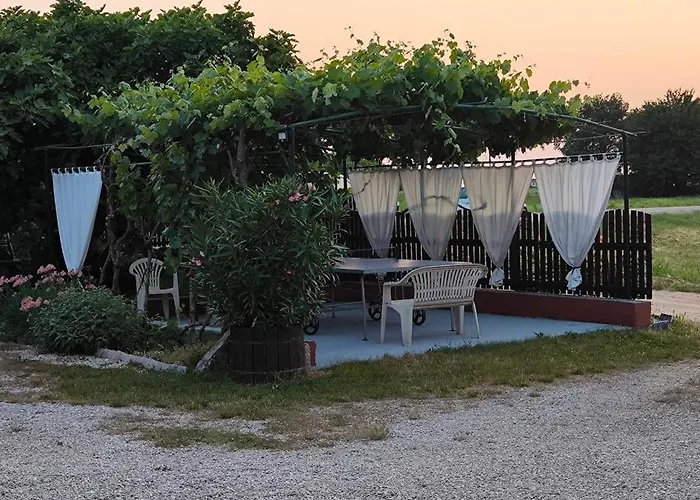 Davor Umag